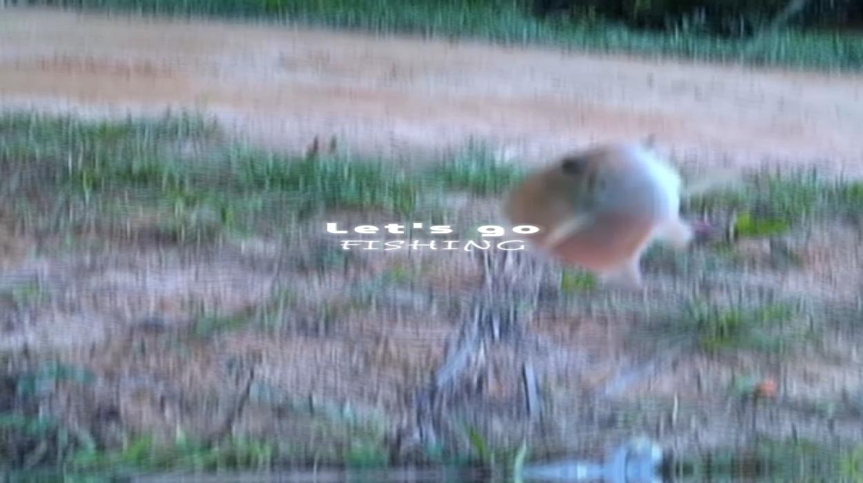 Playlist Image