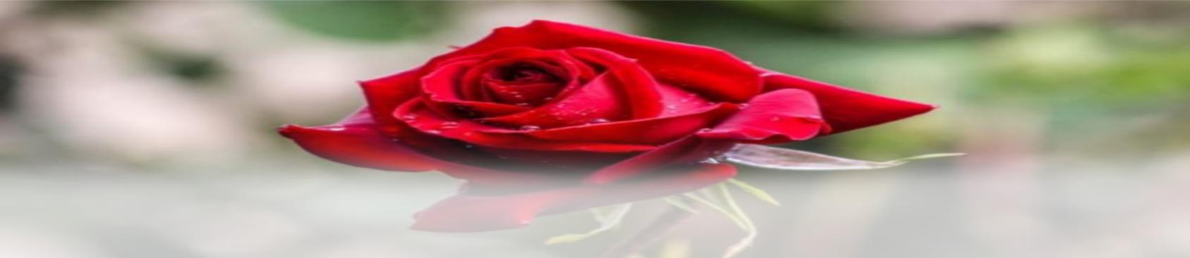 Channel Cover Photo