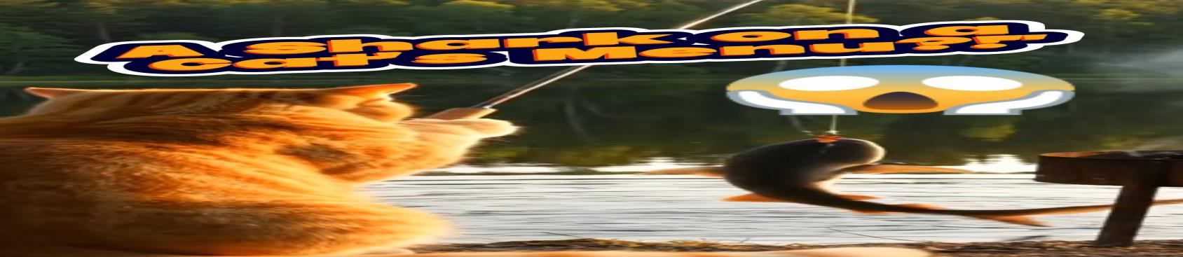 Channel Cover Photo